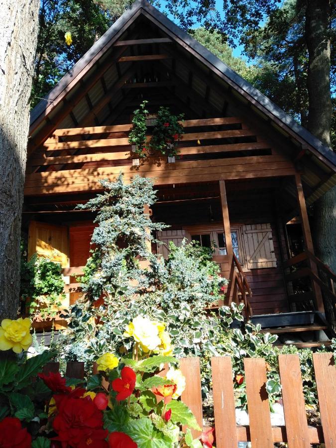 Chatki Saturnina I Pokoje Świnoujście Exterior foto