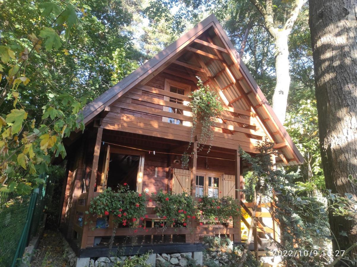 Chatki Saturnina I Pokoje Świnoujście Exterior foto